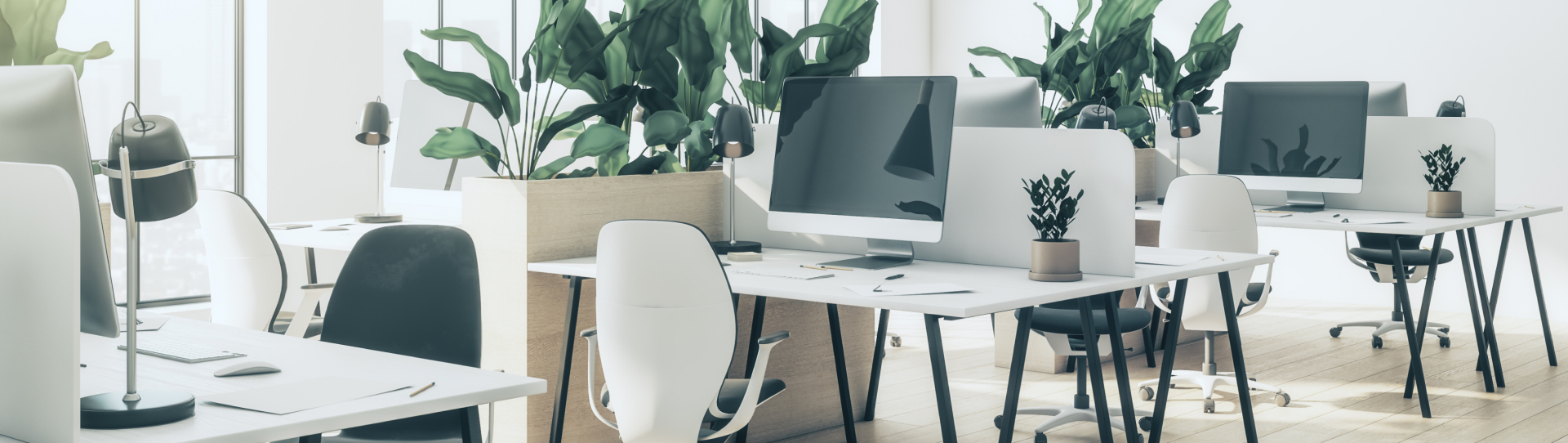 Office with desks, computers and lots of potted plants