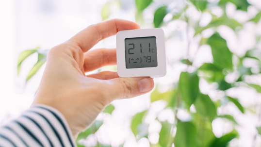 Person holding a temperature gauge