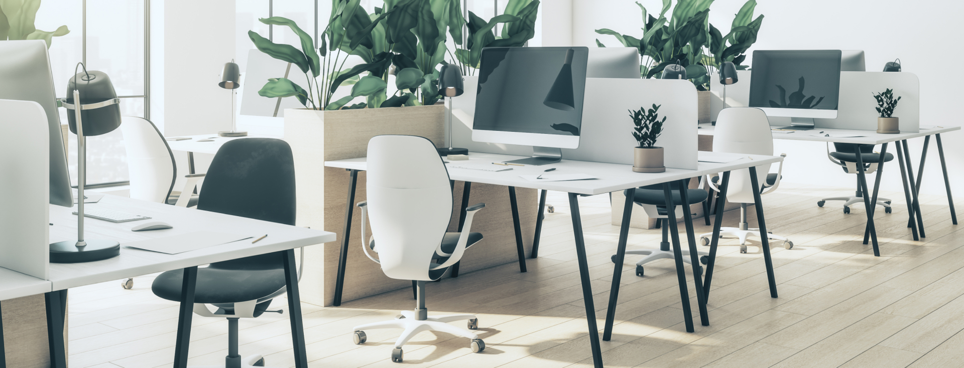 Office with desks, computers and lots of potted plants